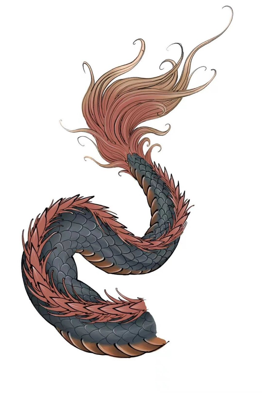 龙尾画法教学 有想学习的7715 #绘画教程# #一起学画画# #龙画法