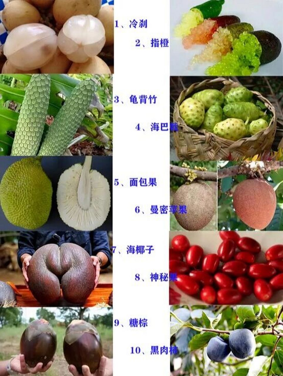 一图看完十大少见水果,你吃过几个?