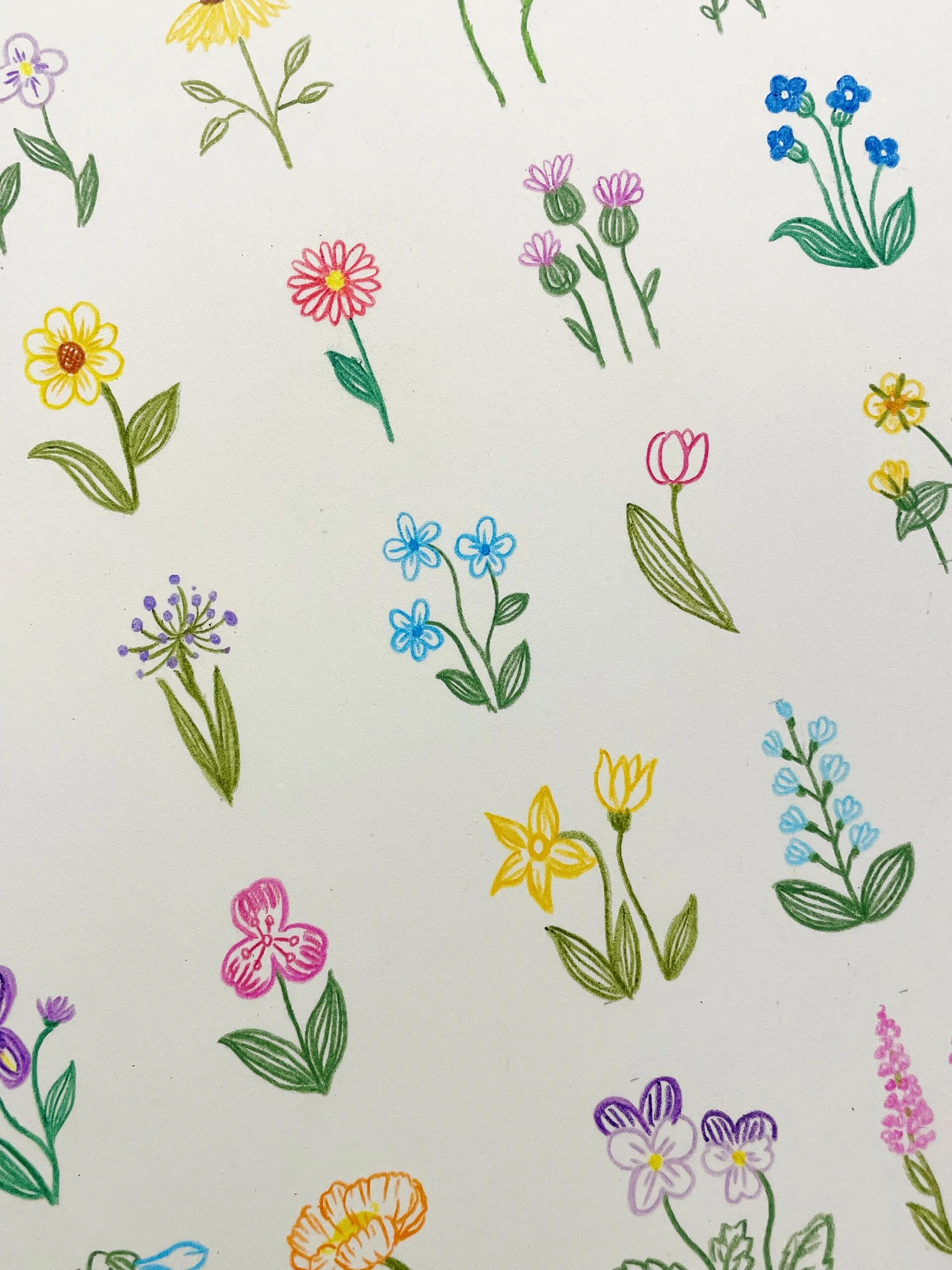 彩铅花朵简笔画,花花让人开心