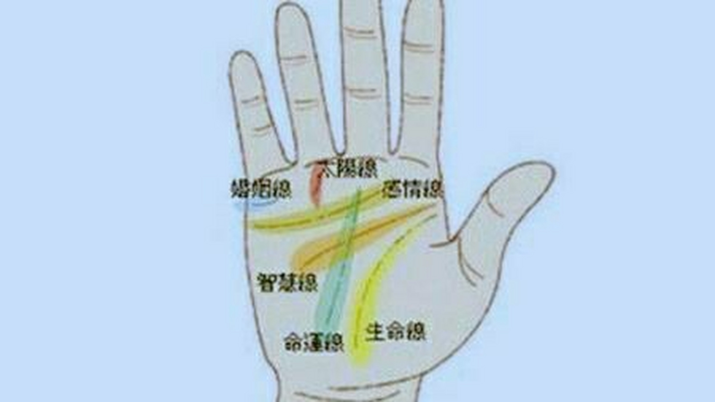 手相 事业线 事业线又名命运线,幸运线,表示一个人在社会活动,事业