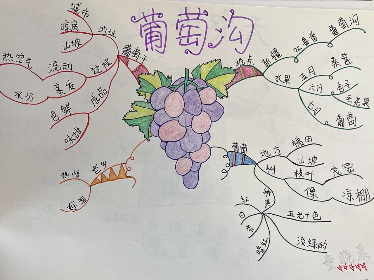 二年级上册葡萄沟