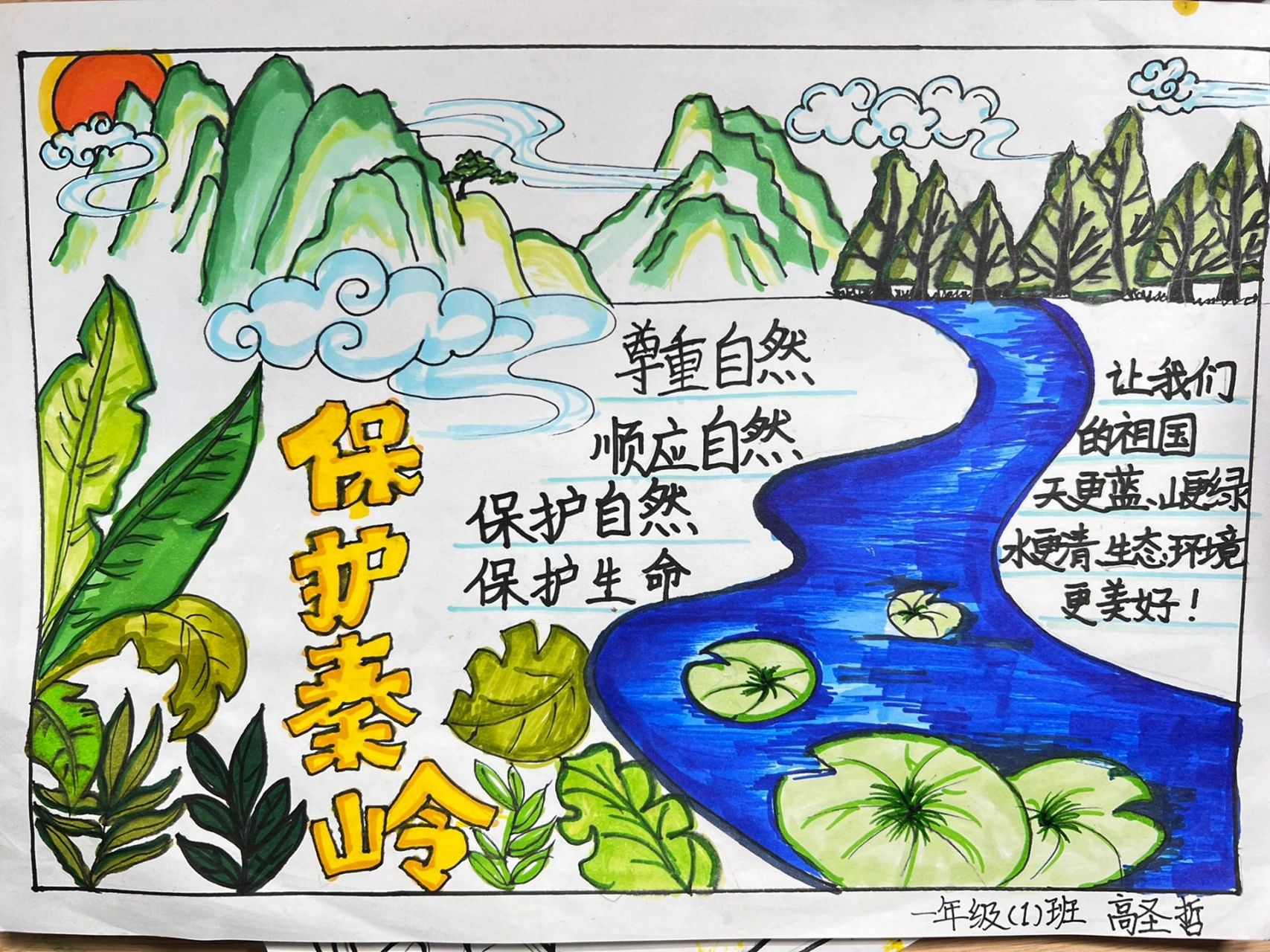 保护秦岭生态绘画作品图片