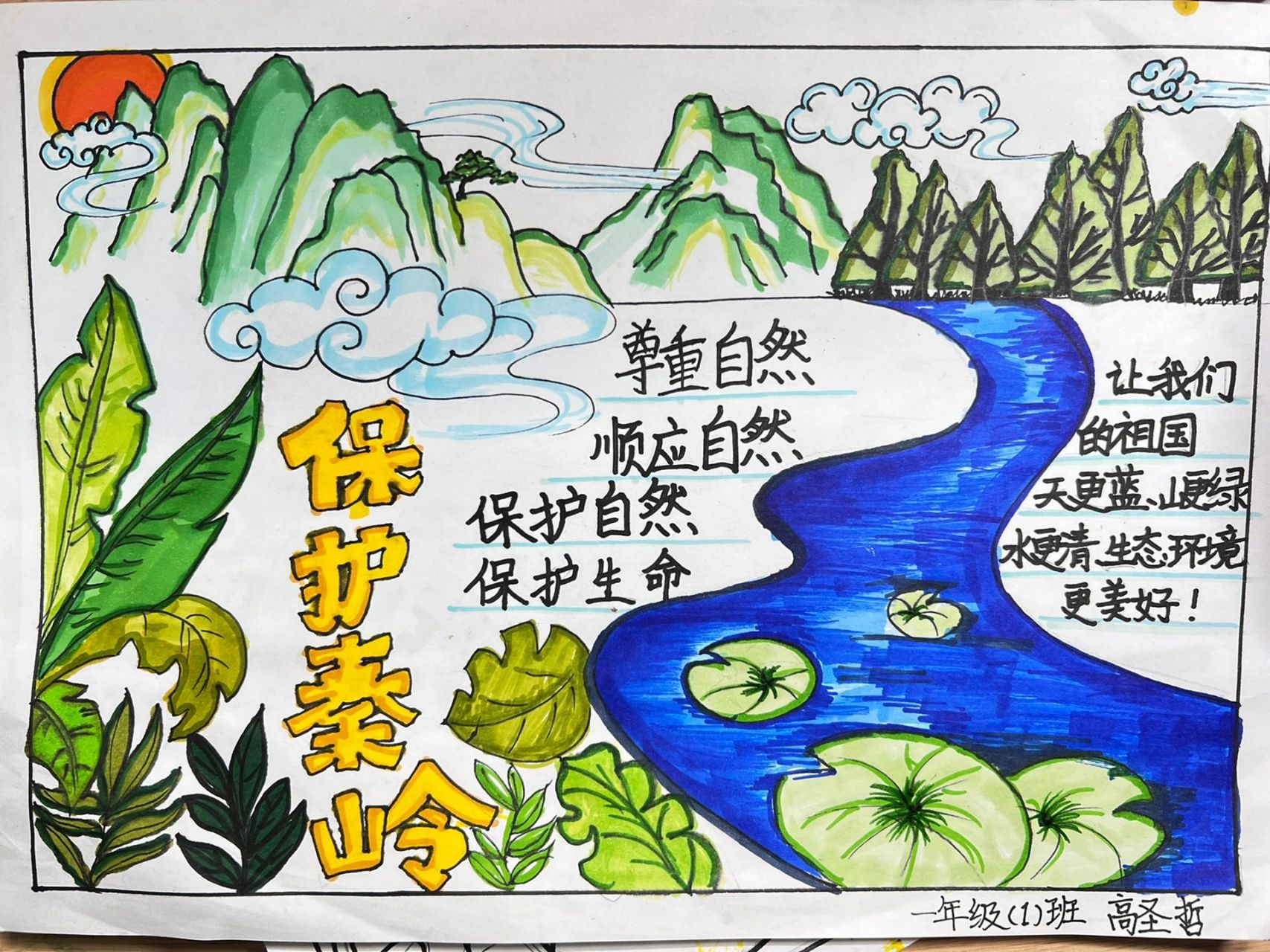 保护秦岭生态环境主题 手抄报 拼拼凑凑的素材 老母亲快江郎才尽了