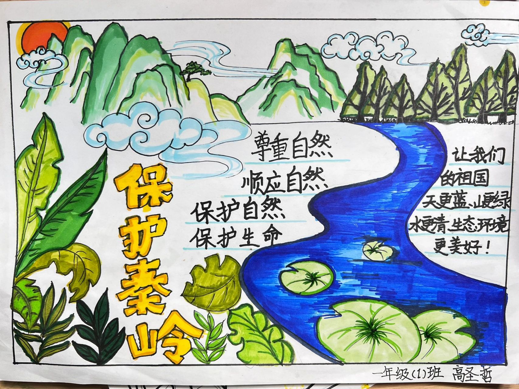 保护秦岭的绘画 生态图片