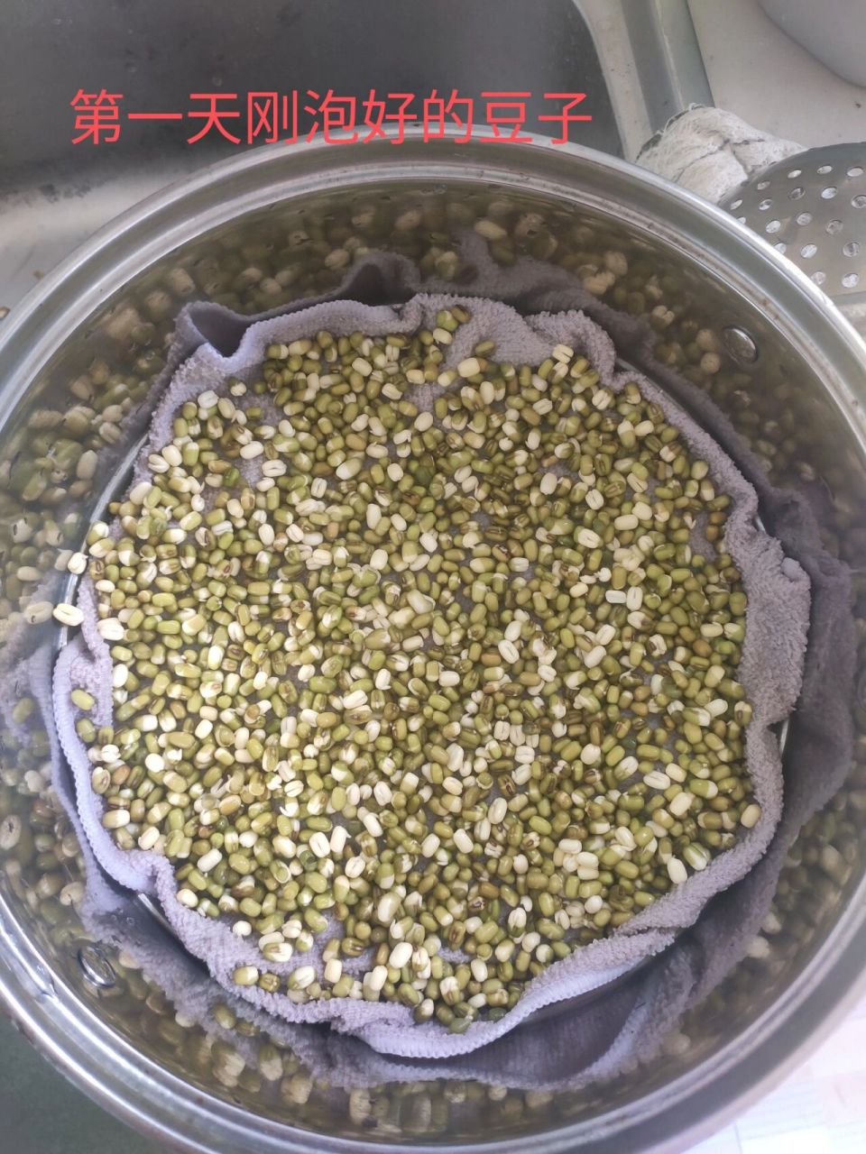 1.超市买的绿豆,取出适量,冬天热水,夏天冷水,泡10