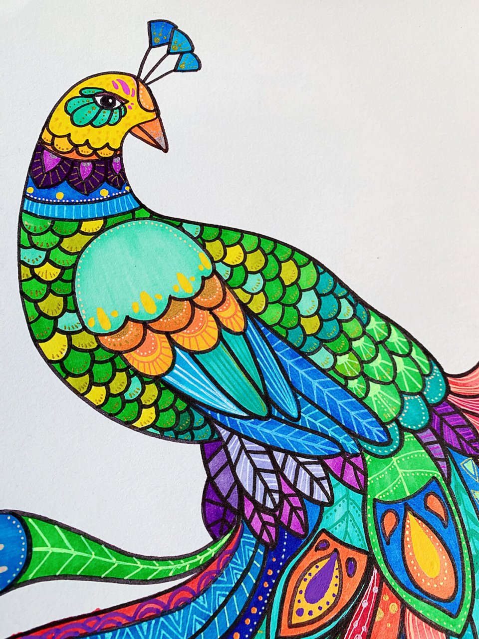 儿童绘画课程教学—《孔雀》 想画孔雀好久了 一直没下手,感觉太难