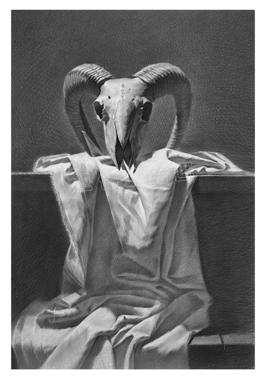 素描静物羊头骨(附步骤图) 构思—构图—起稿—找形—黑白灰关系