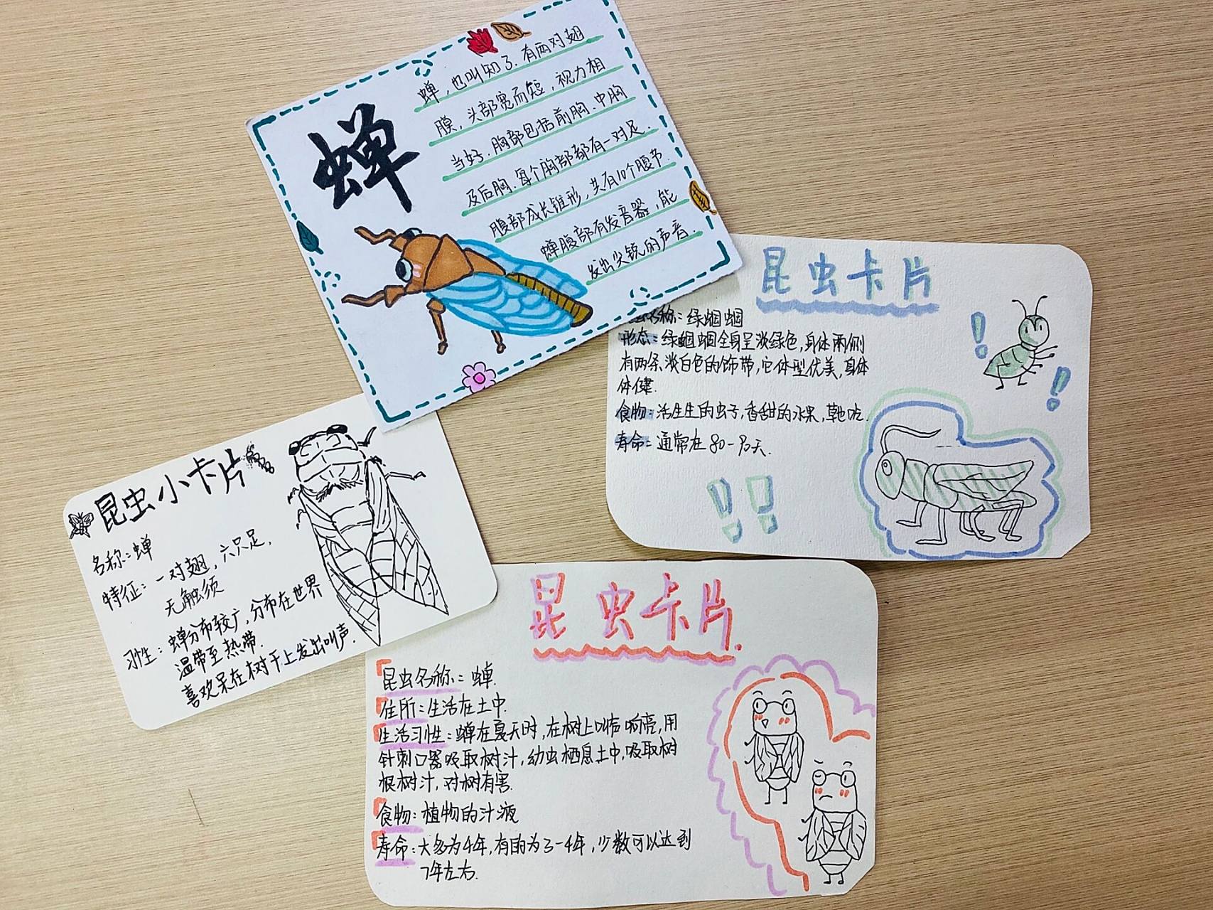 八年级名著《昆虫记》让学生做的昆虫卡片 八年级名著《昆虫记》让