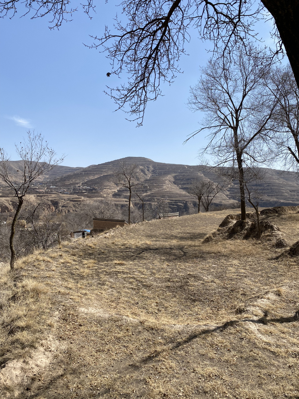 正宗的西北味 去了很多次西北 还是被陇西震撼到 黄土高坡,农村土房