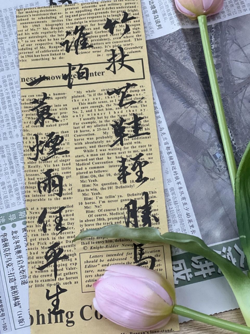 竹杖芒鞋轻胜马 谁怕!