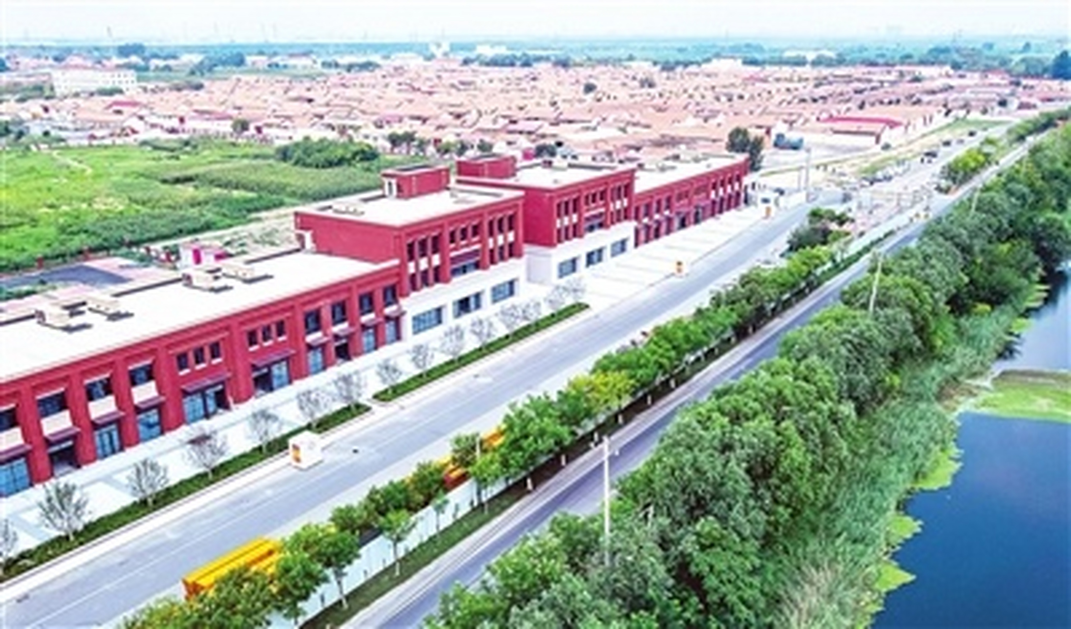 关注各区#【现代商潮 静海区杨成庄乡东寨村】目前,我市静海区杨成 