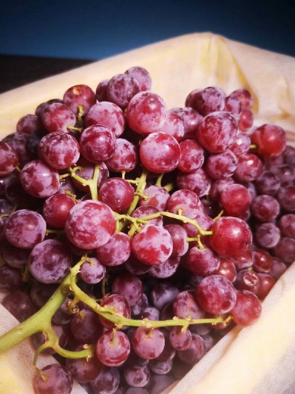 水果文案|脆甜又不用吐籽的无核玻璃翠葡萄 嗨你好啊,我是七蒔,现在在