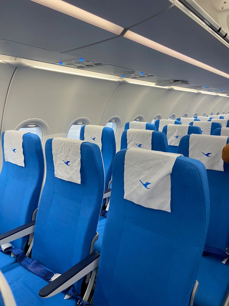 厦门航空空客321体验7615及选座! 三月出发新目的地!