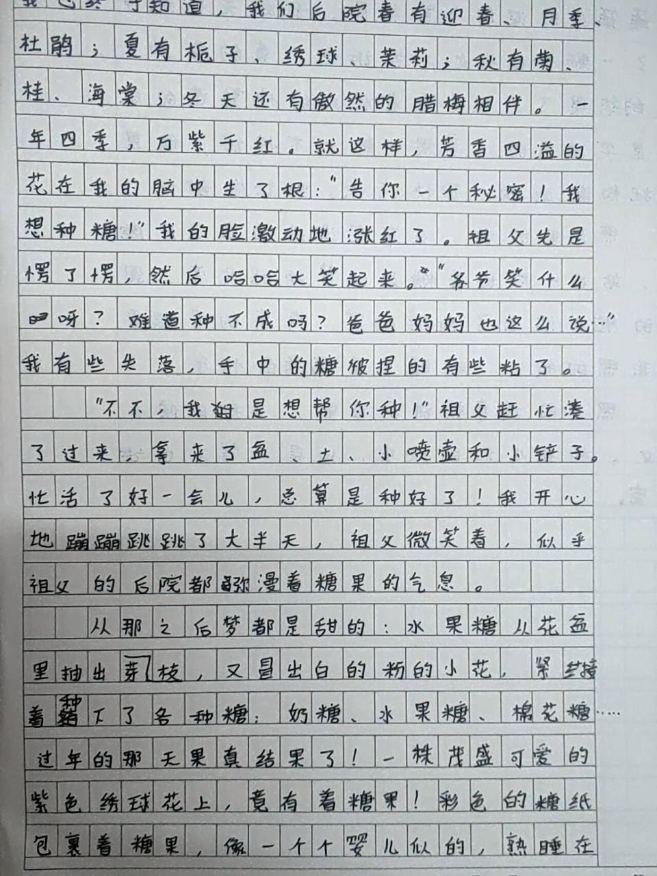 优秀作文分享 《照片里的故事 》 人生就是一场戏,每个人都是主角