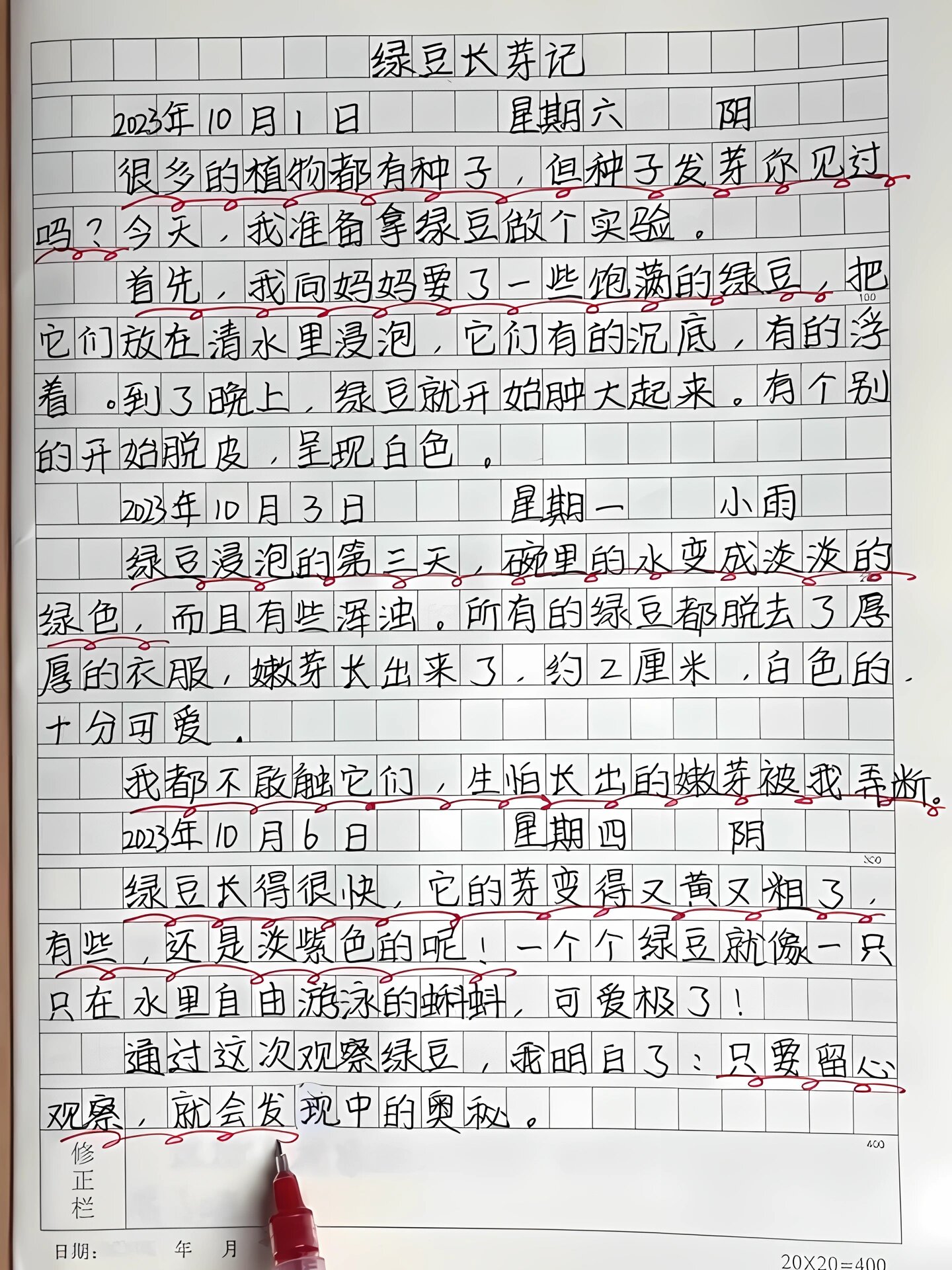 四年级观察日记《绿豆长牙记》