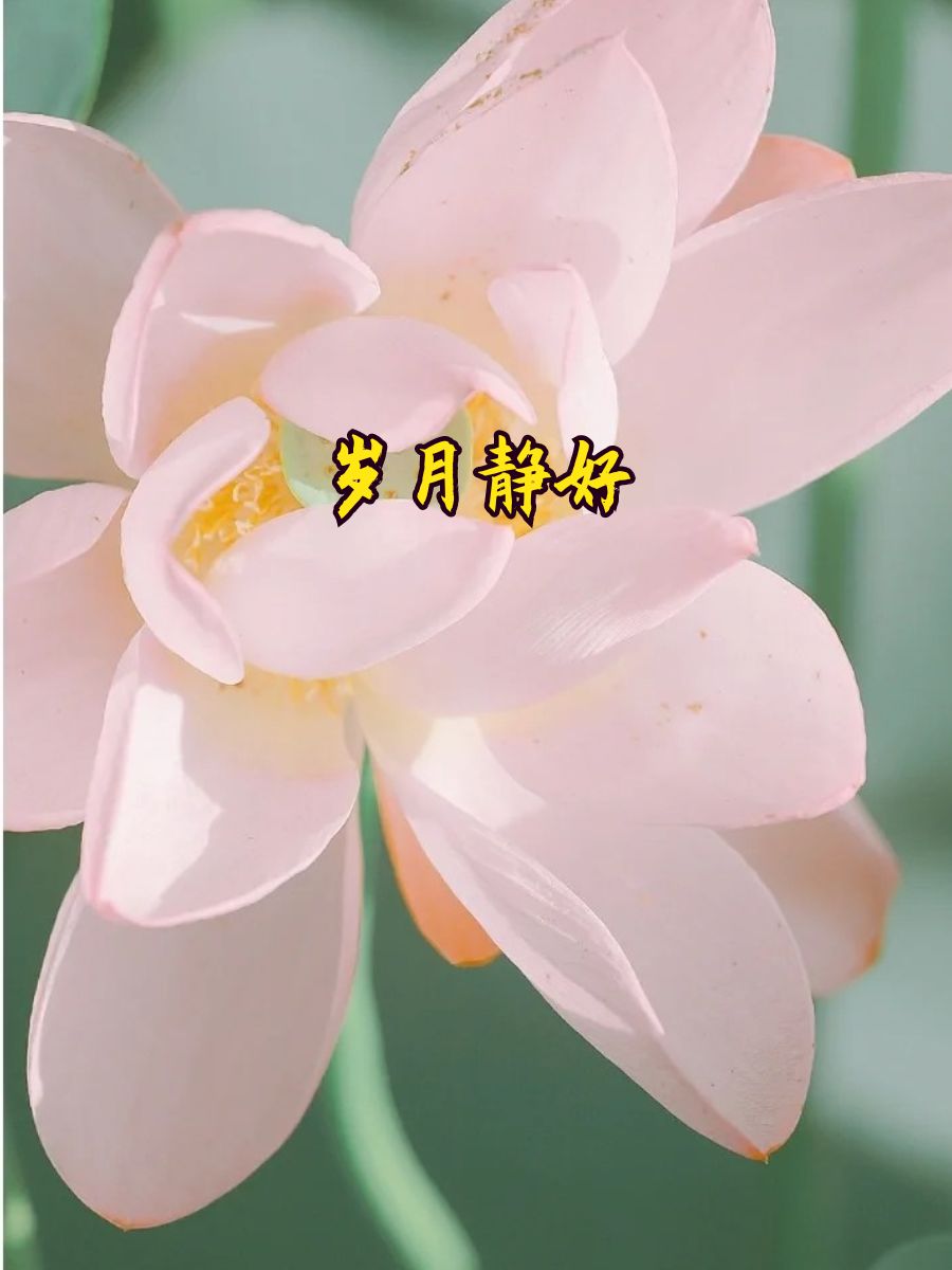 40至50岁快手昵称 岁月静好 智慧人生 淡然处世 悠然岁月 知足常乐