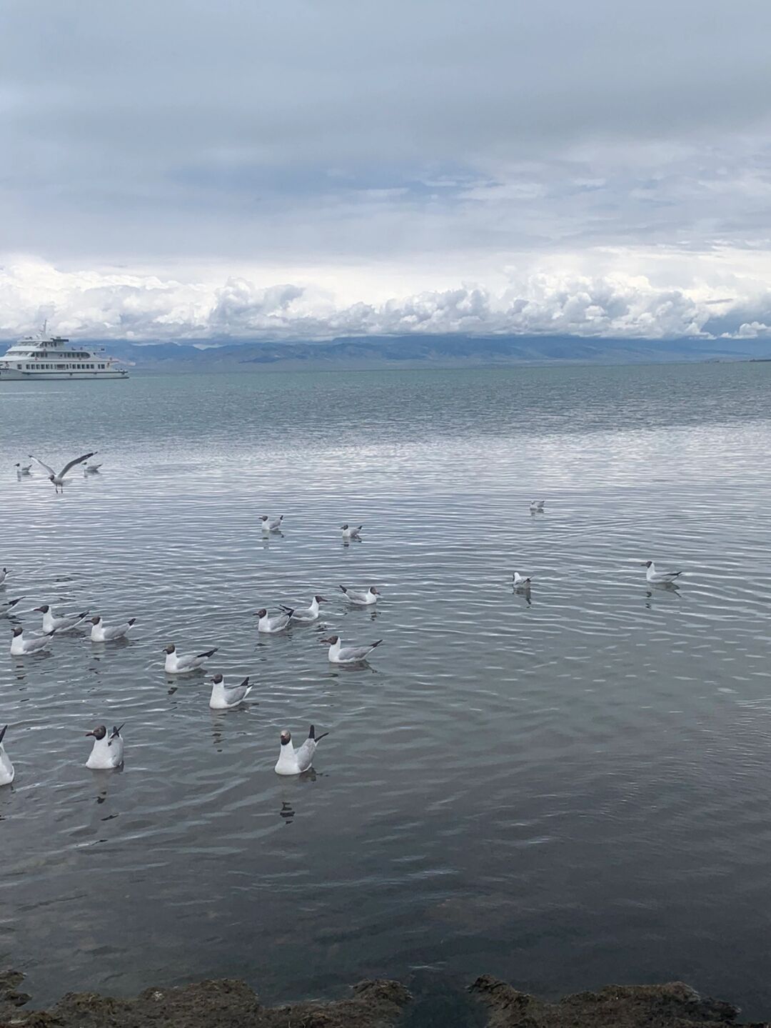 青海湖阴天的图片风景图片