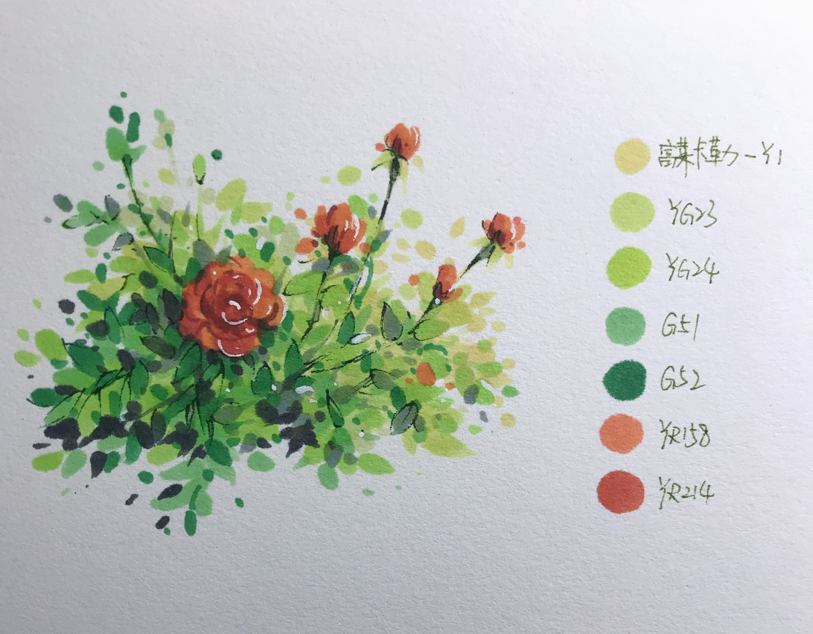 马克笔|玫瑰花教程第n期 又来一个玫瑰花卉教程 色号和步骤都安排上啦