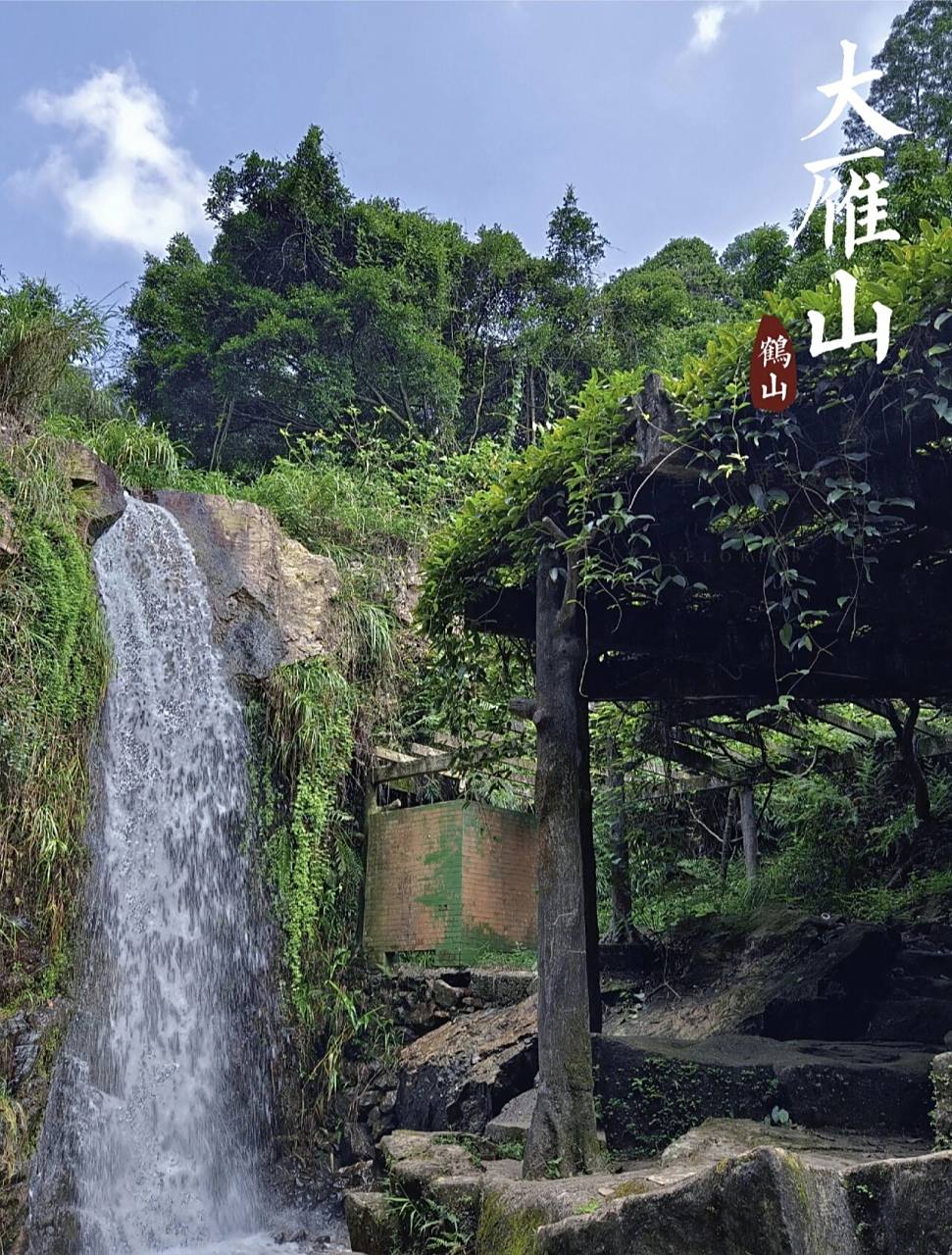 江门鹤山|大雁山森林公园 99地点: 江门市鹤山市沙坪街道大雁山风景
