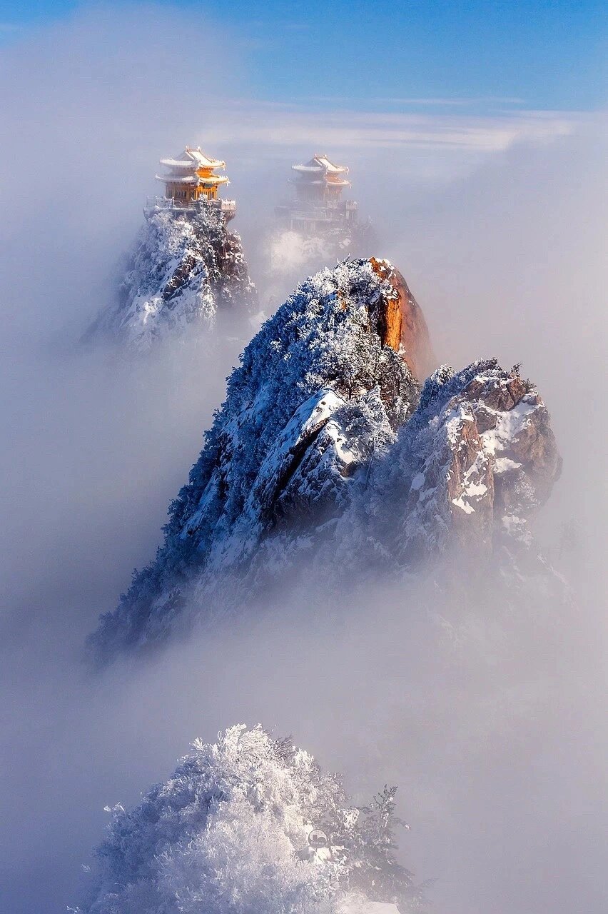 这个冬天一定要来看老君山雪景,太美啦 7615他朝若是同淋雪,此生