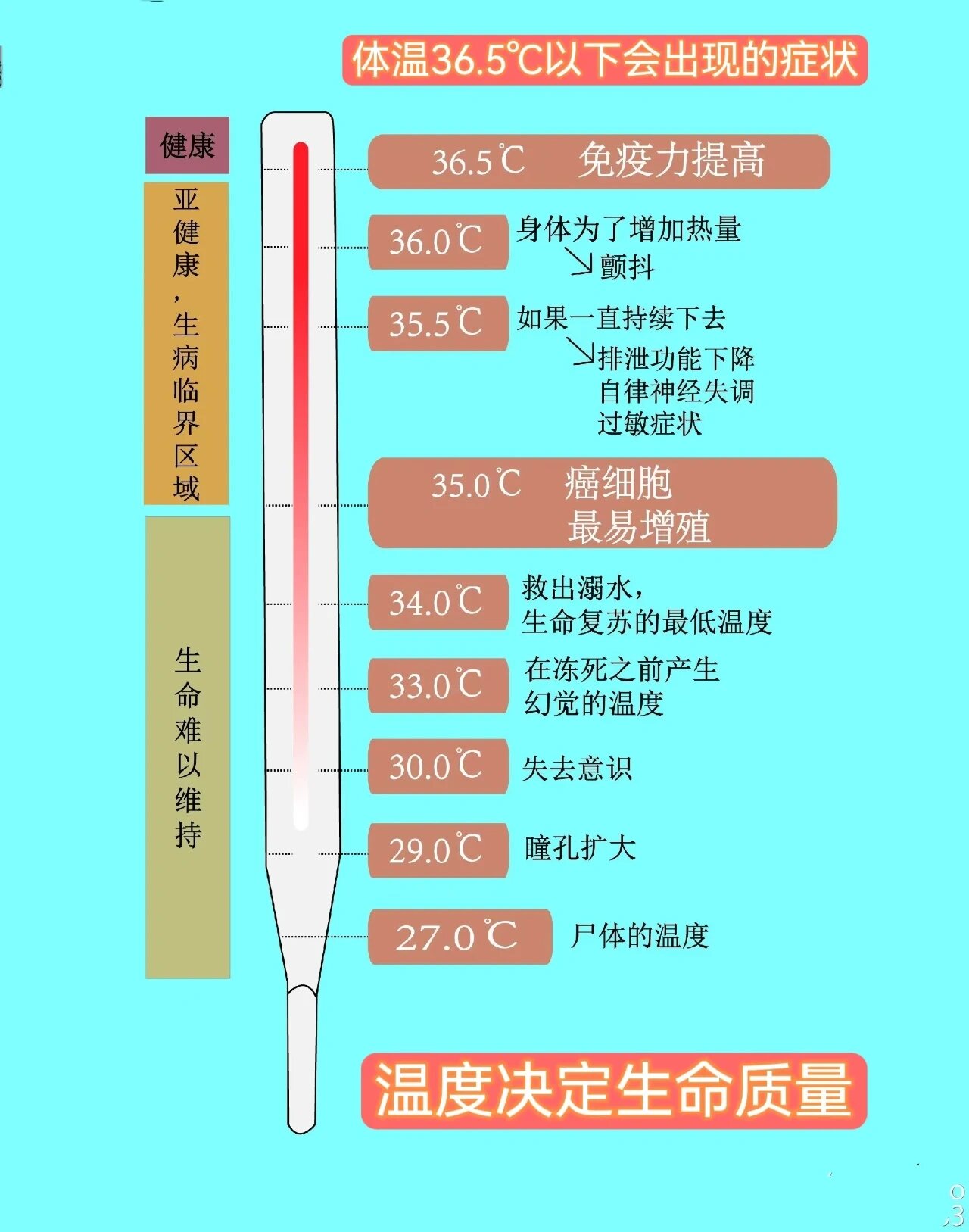 人体的正常温度如下