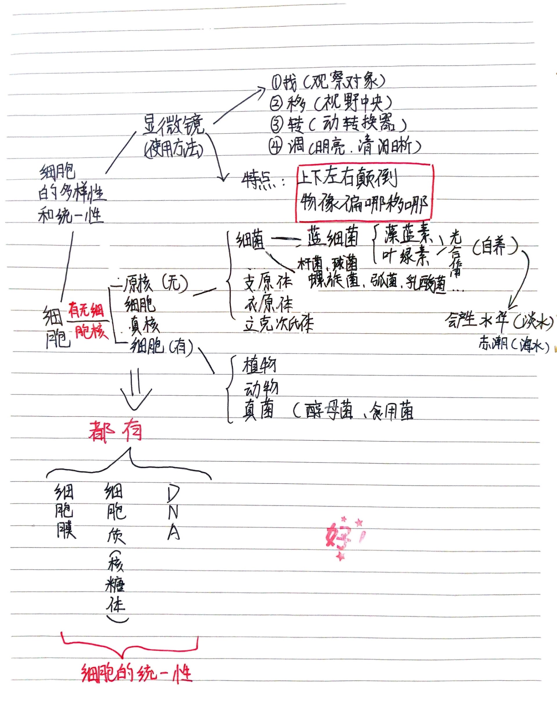 思维导图生物第一单元图片