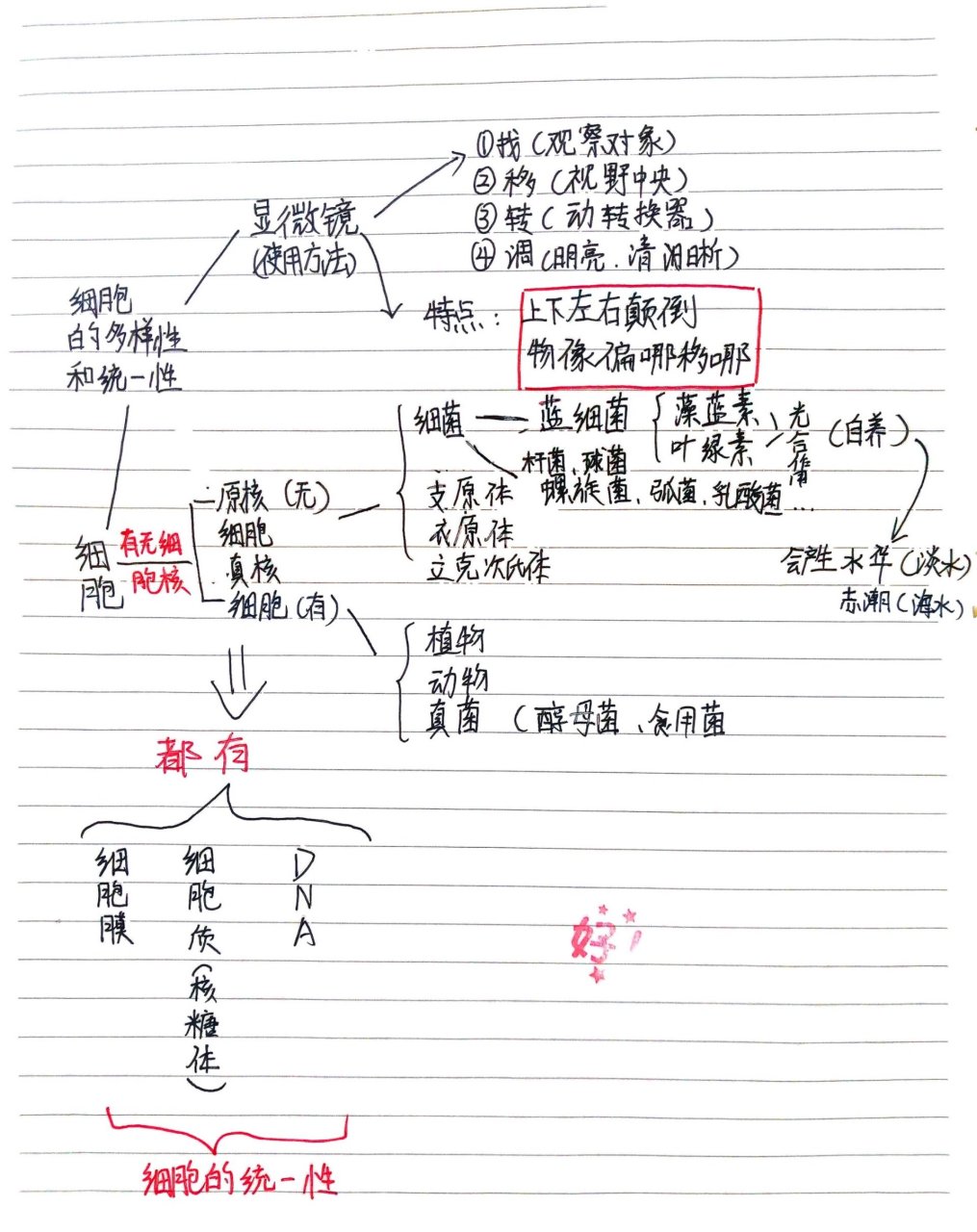 走进细胞思维导图图片