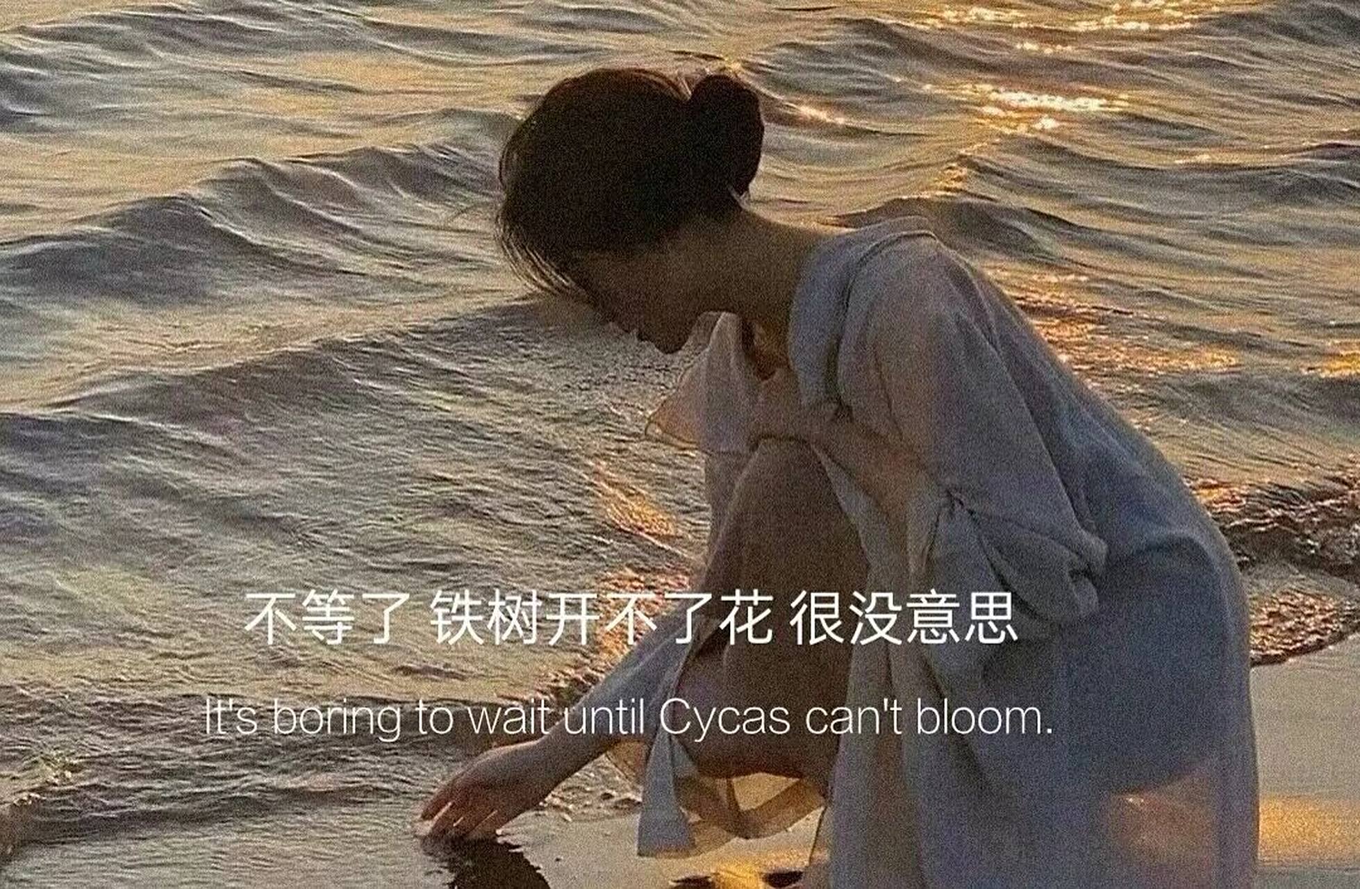 伤感图片壁纸 活在人间要有三分温暖  两分凉薄  四分漫不经心  最后