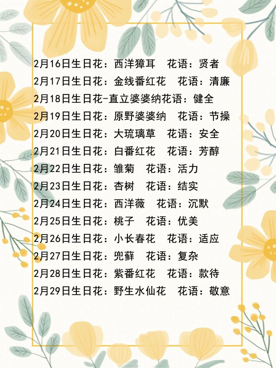 365天每天都有生日花,你属于哪一个呢?