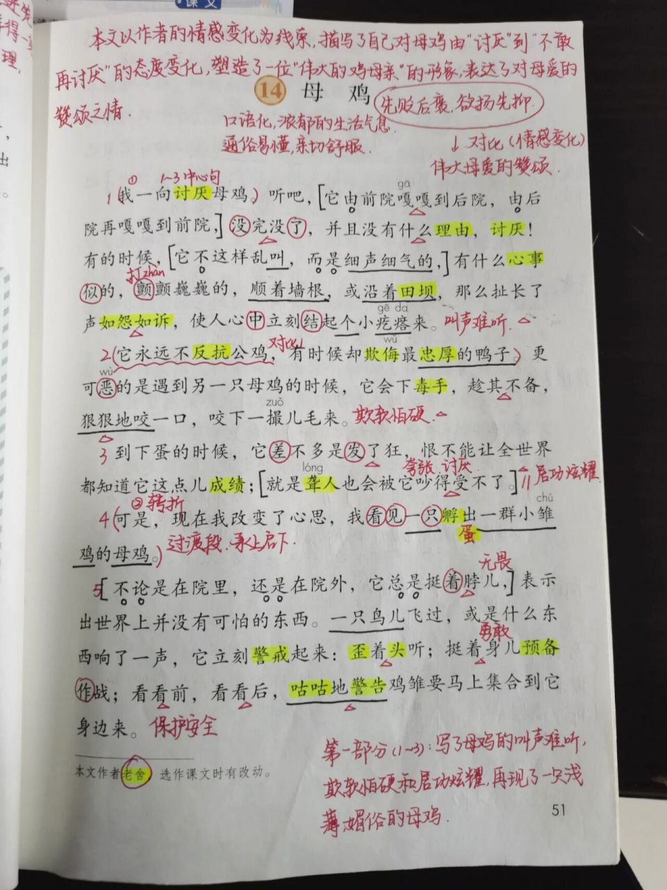 部编版四年级下语文教案笔记十四课《母鸡》 圆圈多音字 黑笔固定搭配