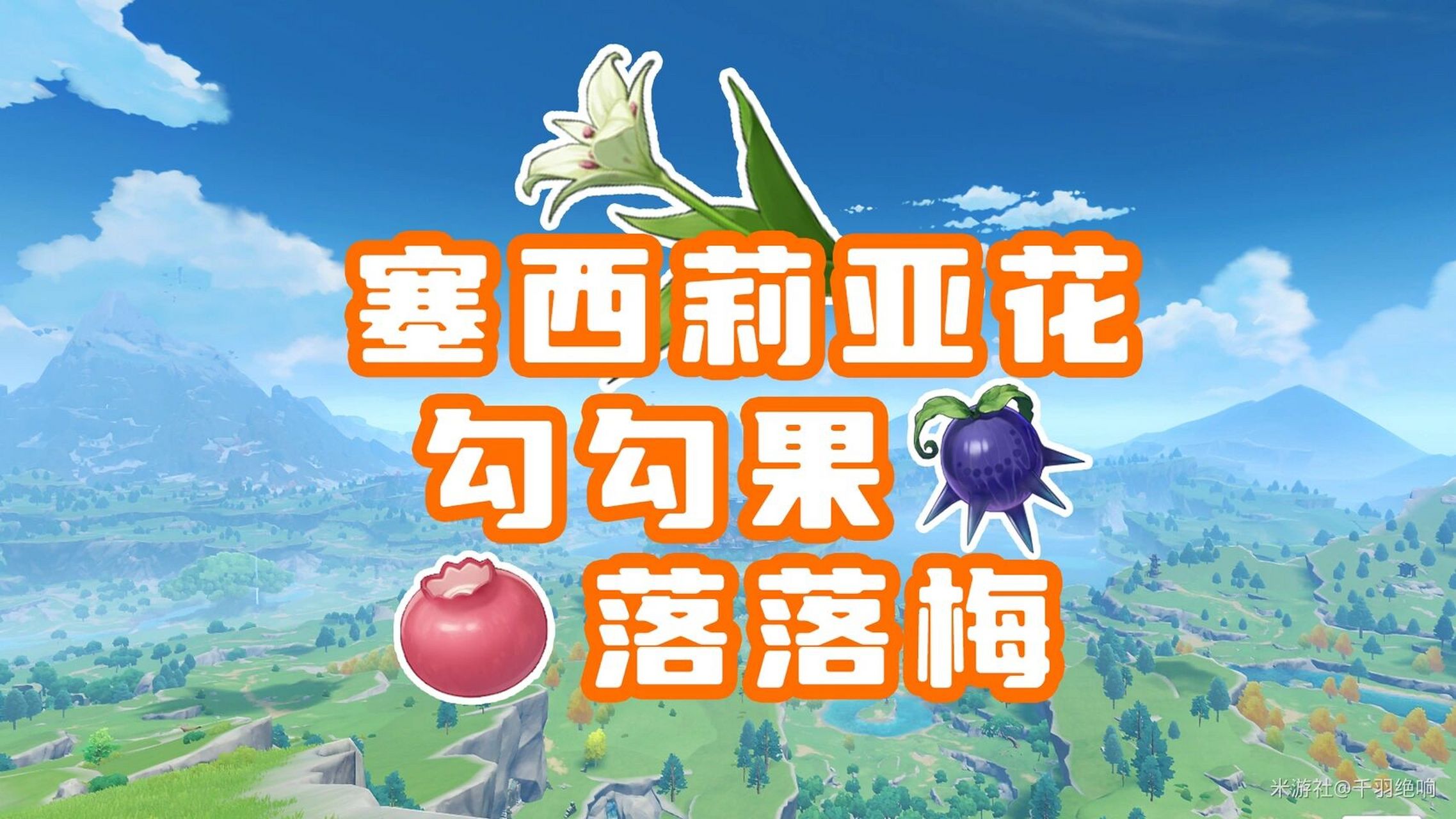 原神75塞西莉亚花 勾勾果 落落梅