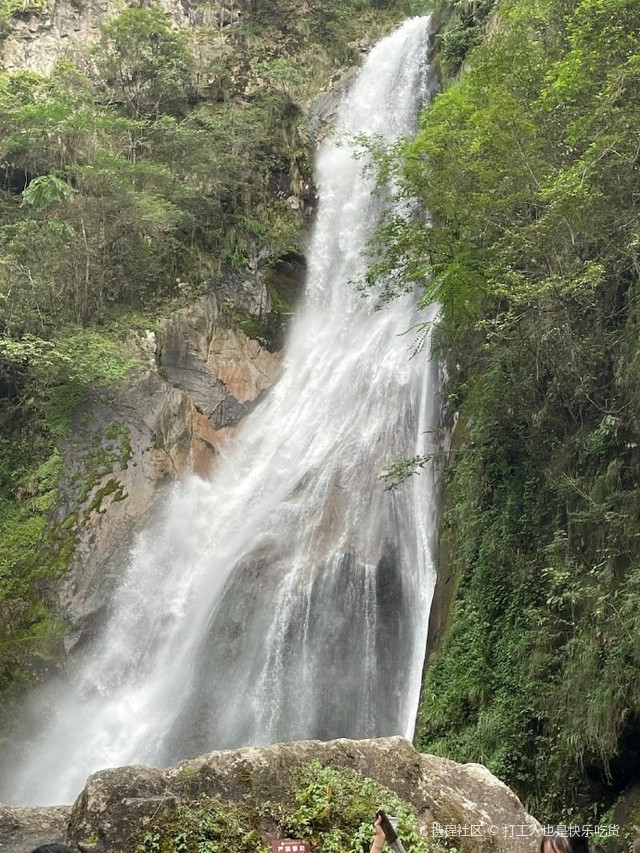 株洲市炎陵县境内有个【神农谷国家森林公园】