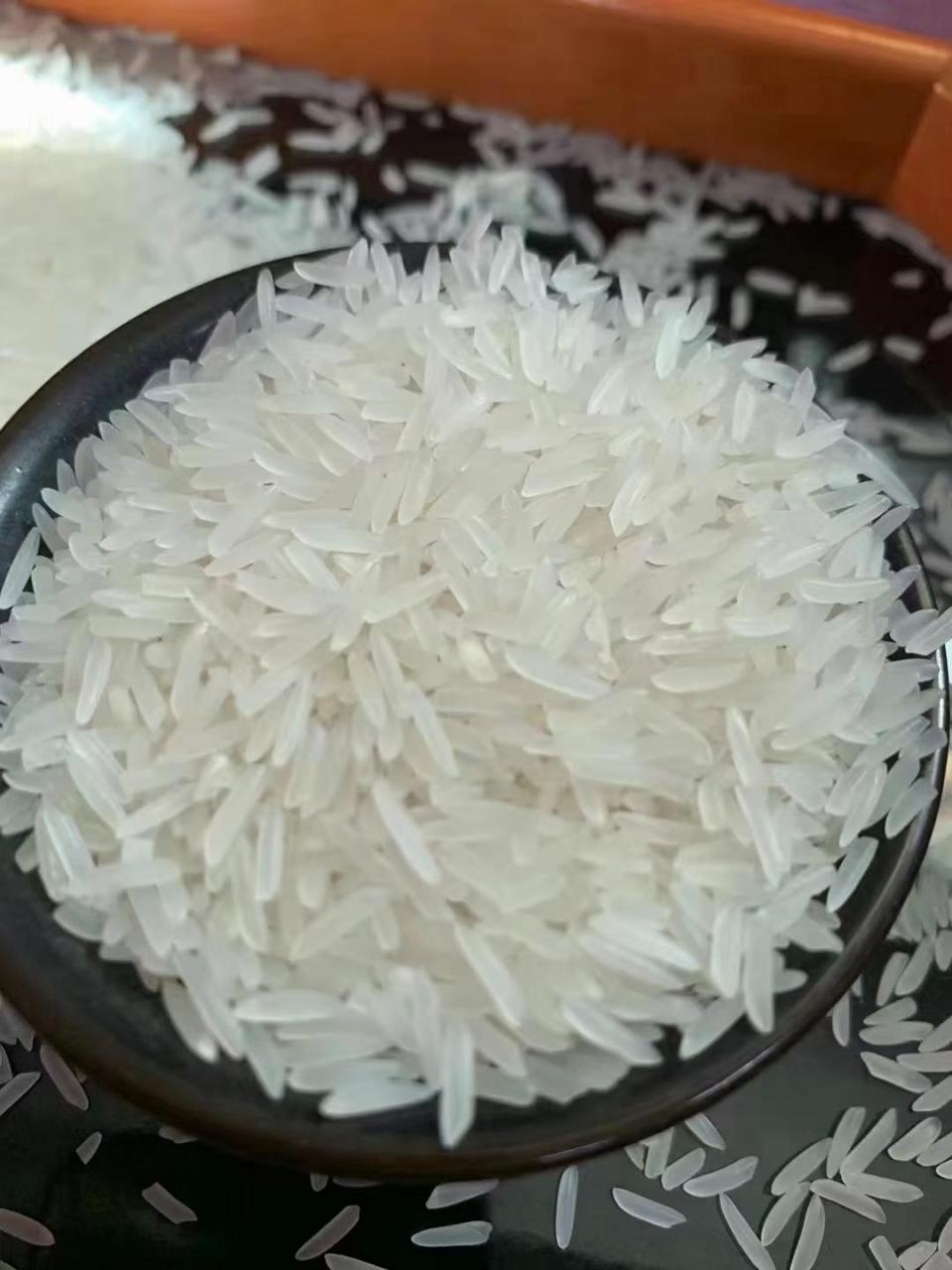 邦两优6118 长宽比4.4,千粒重21.8克,大穗耐高温!