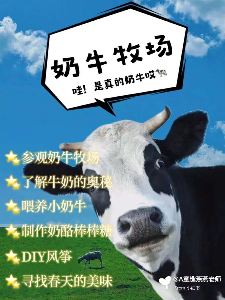 奶牛身上的花纹还有其他颜色吗? 奶牛生下来就可以产奶05吗?