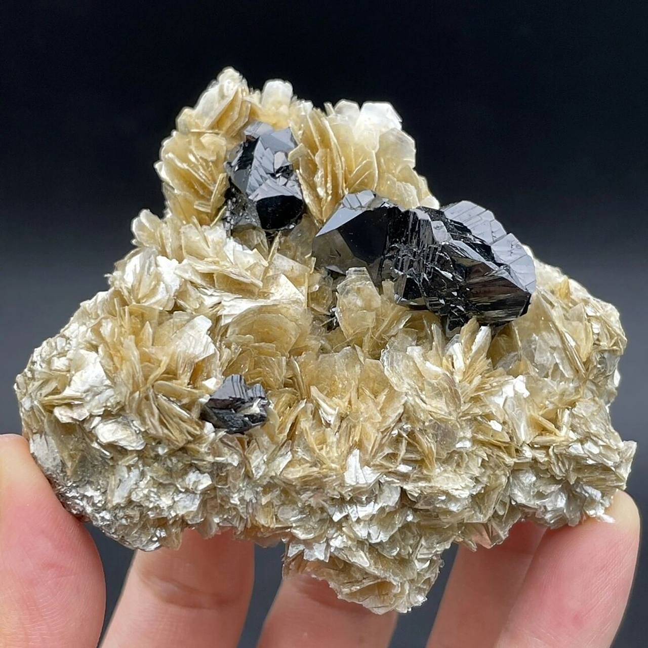 云母是一种造岩矿物,呈现六方形的片状晶形 是主要造岩矿物之一.