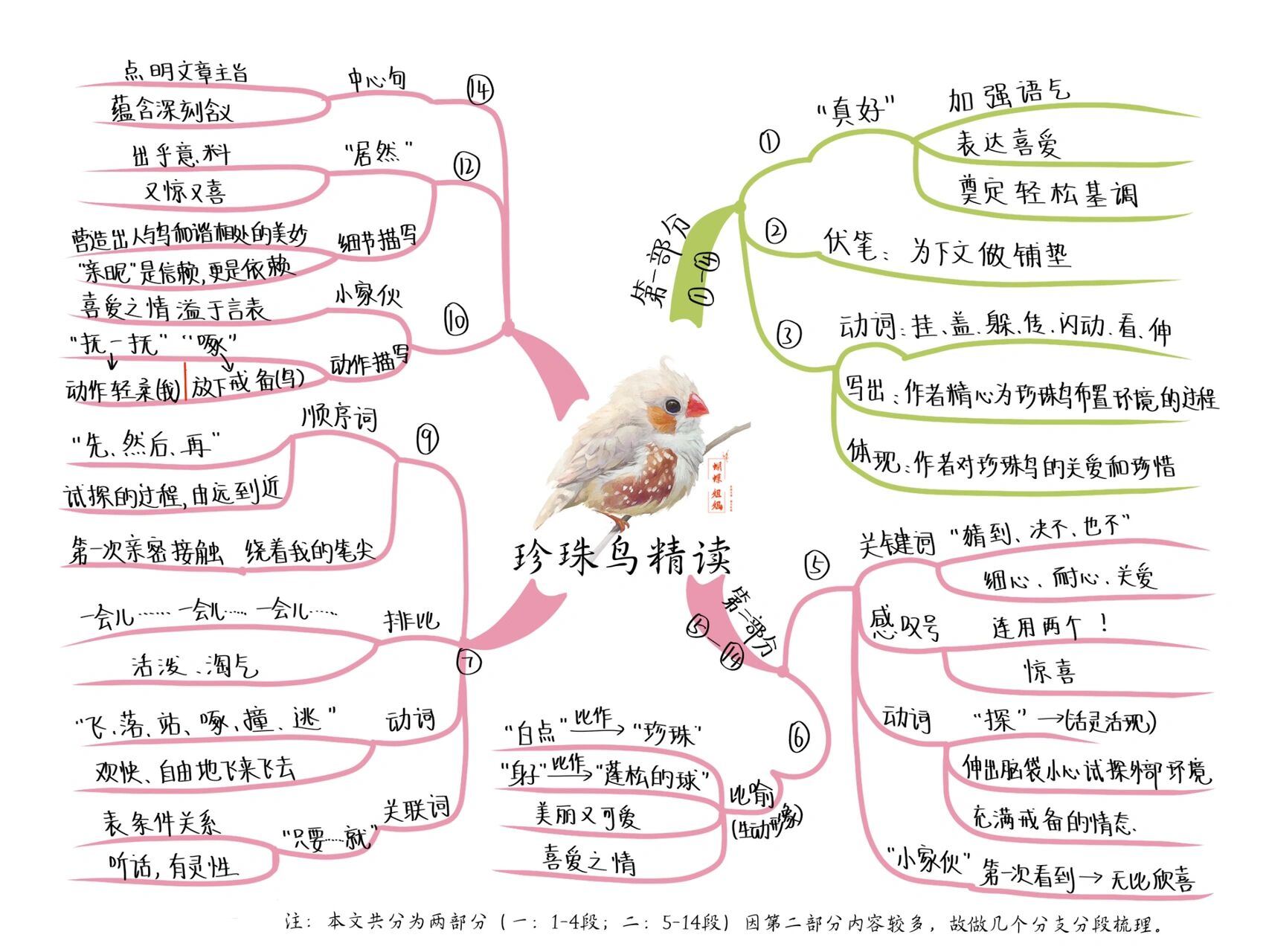 4珍珠鸟课文思维导图图片