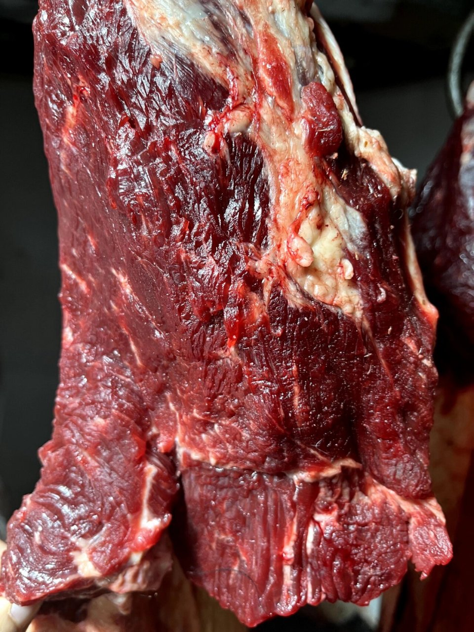 内蒙草原上散养的黄膘牛肉