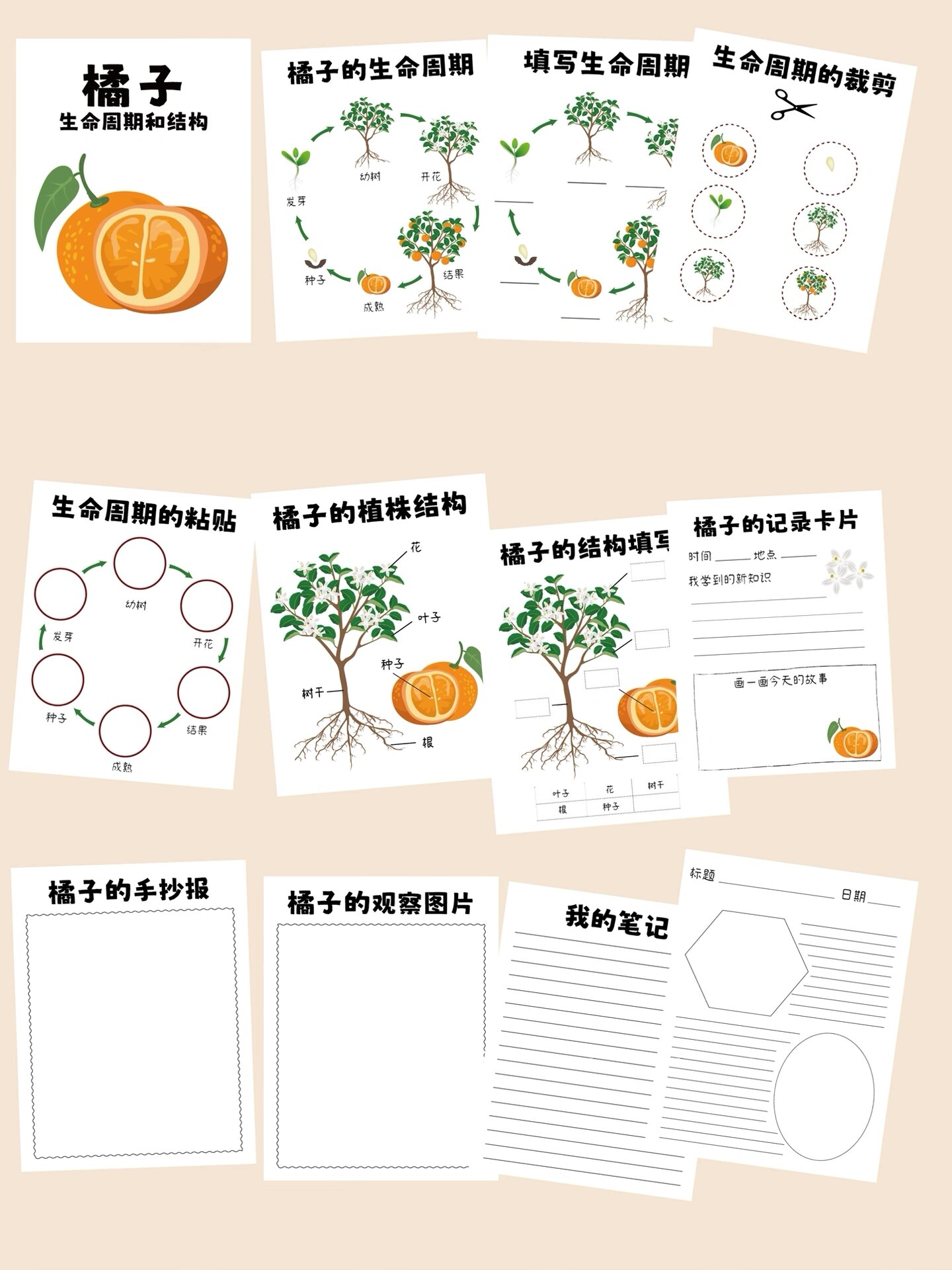 秋季研学手册合集pdf电子版