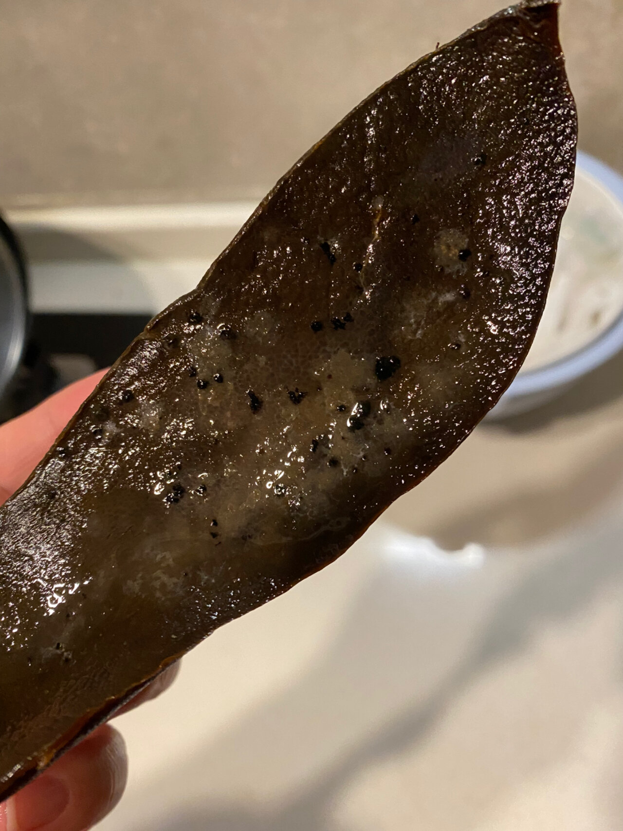 熏猪肝上面长了这种小黑点,还能吃吗?