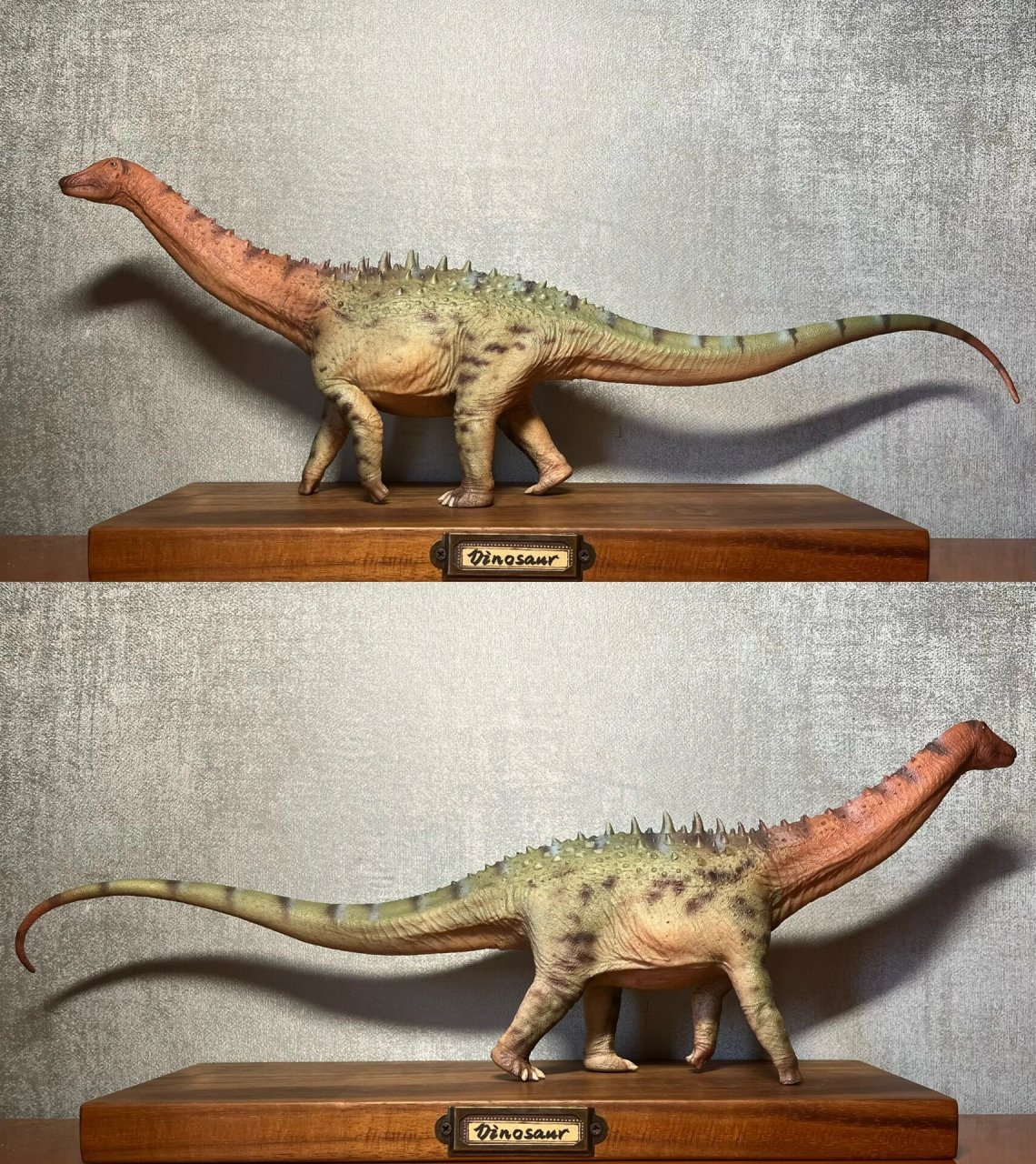 好龙谷 葡萄园龙 一只长着尖刺的中型蜥脚类恐龙 细节说得过去,实心有