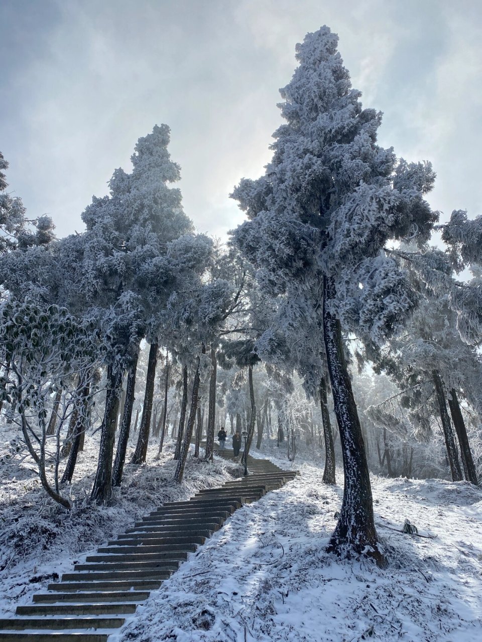 汉中天台山雪景图片