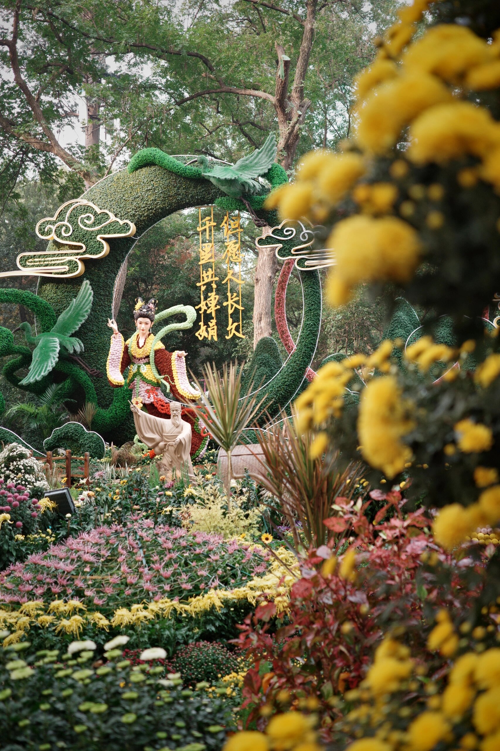 无锡锡惠公园菊展 今日免票入园