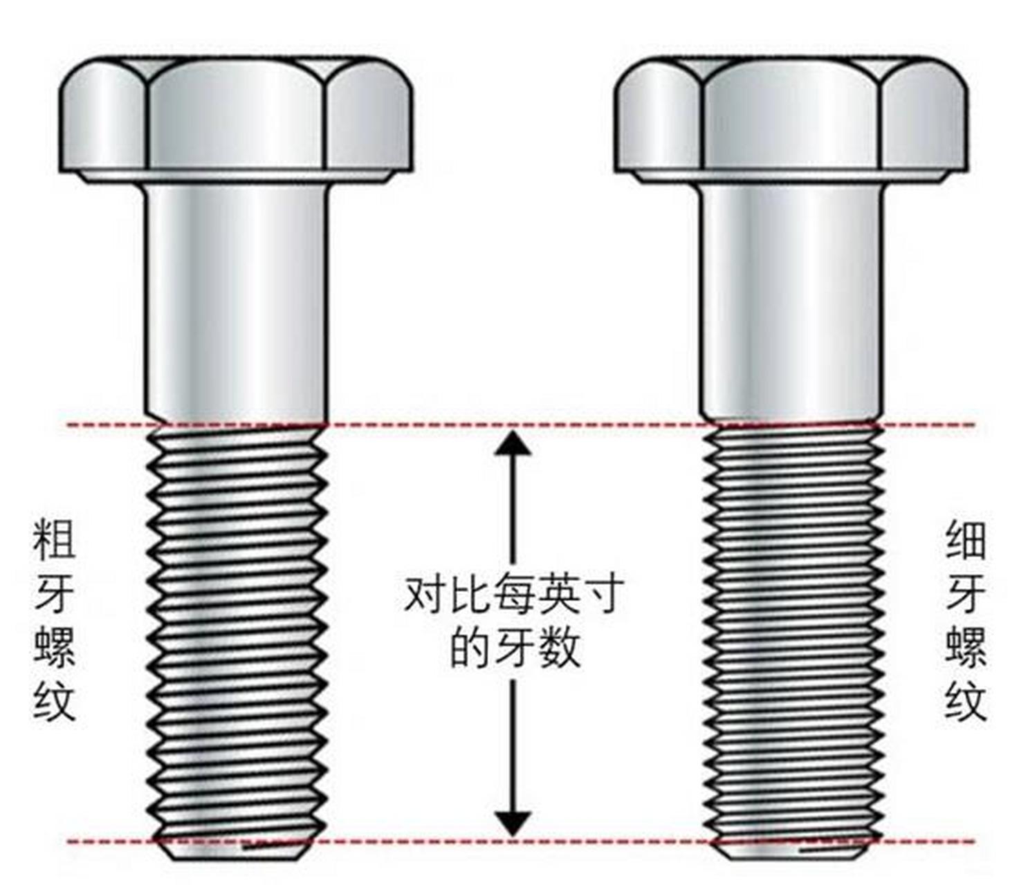 螺丝构造名称图片