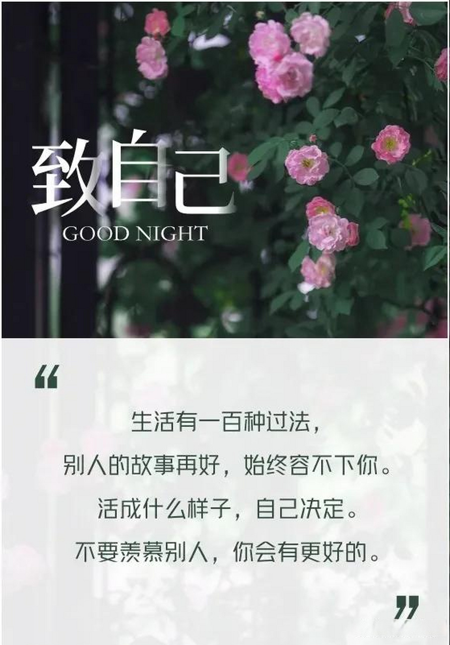 不要去羡慕别人的生活,因为每一个人光鲜亮丽的背后,都有着很多不为人