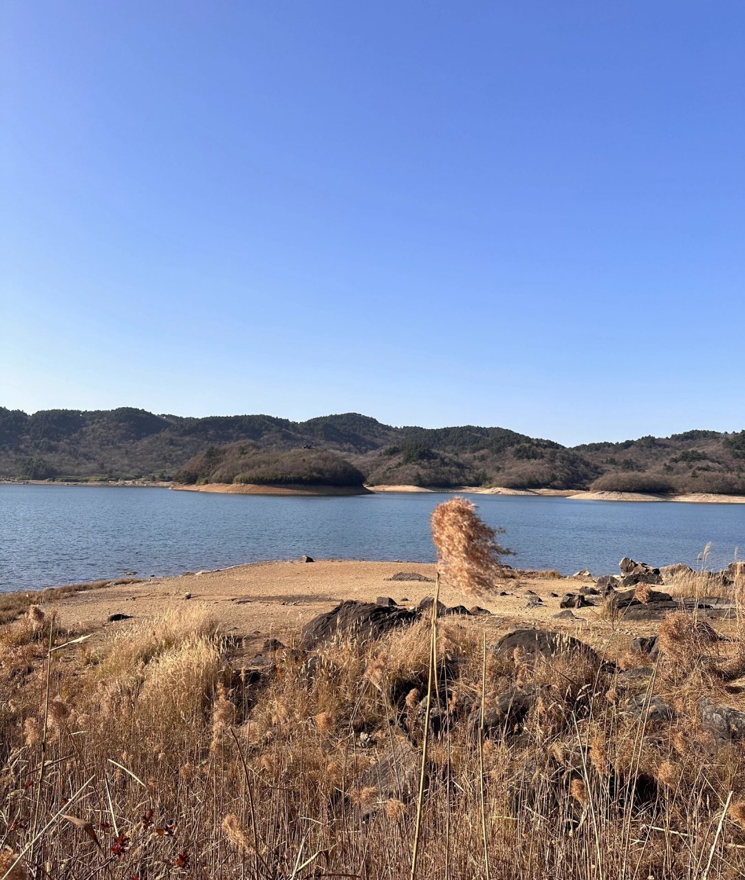 杭州临安浙西天池   从市区开车要一两个小时 尽量早点去 晚了拍照片