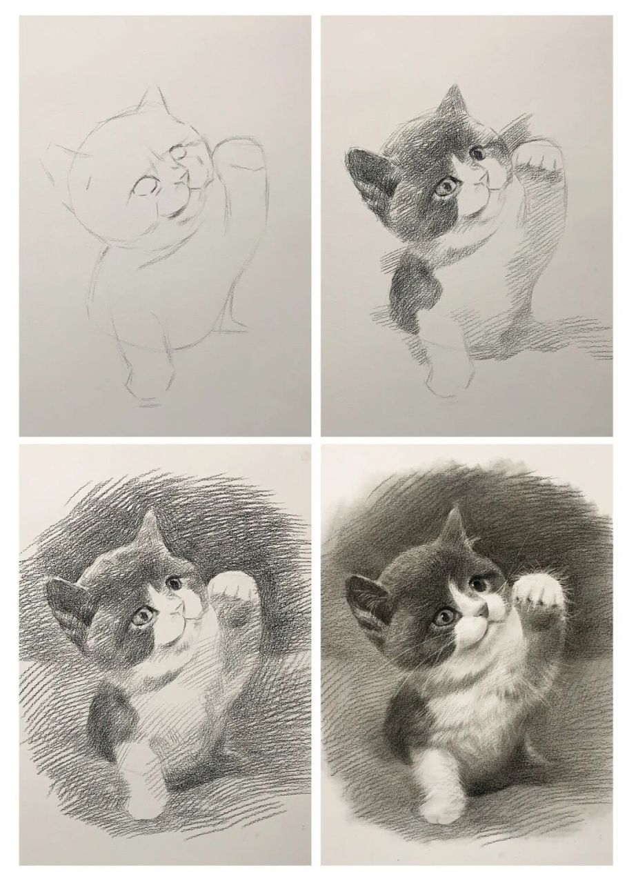 超可爱调皮猫咪素描步骤详解95 #发一张最近的画# #素描# #素描动物