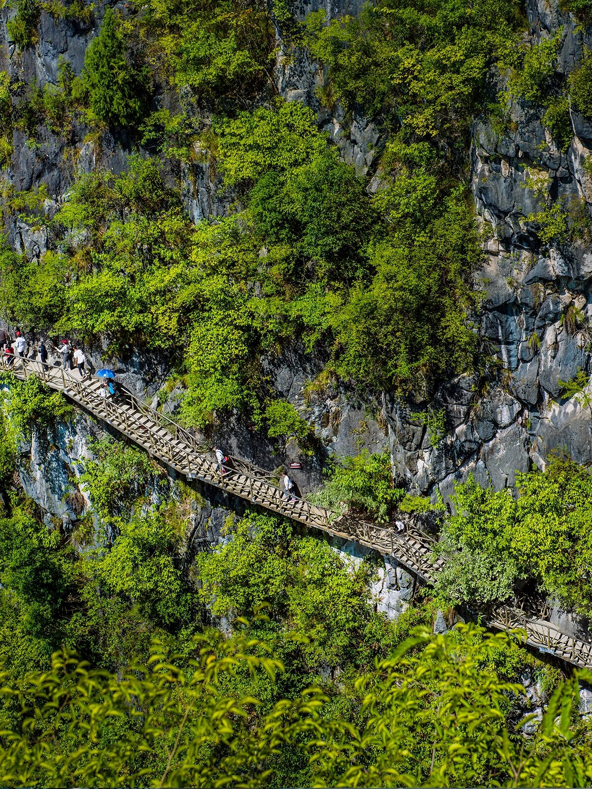就让飞飞为揭秘吧~ 1城市大峡谷 又称"芭拉胡",跨越7个地质年代的地质