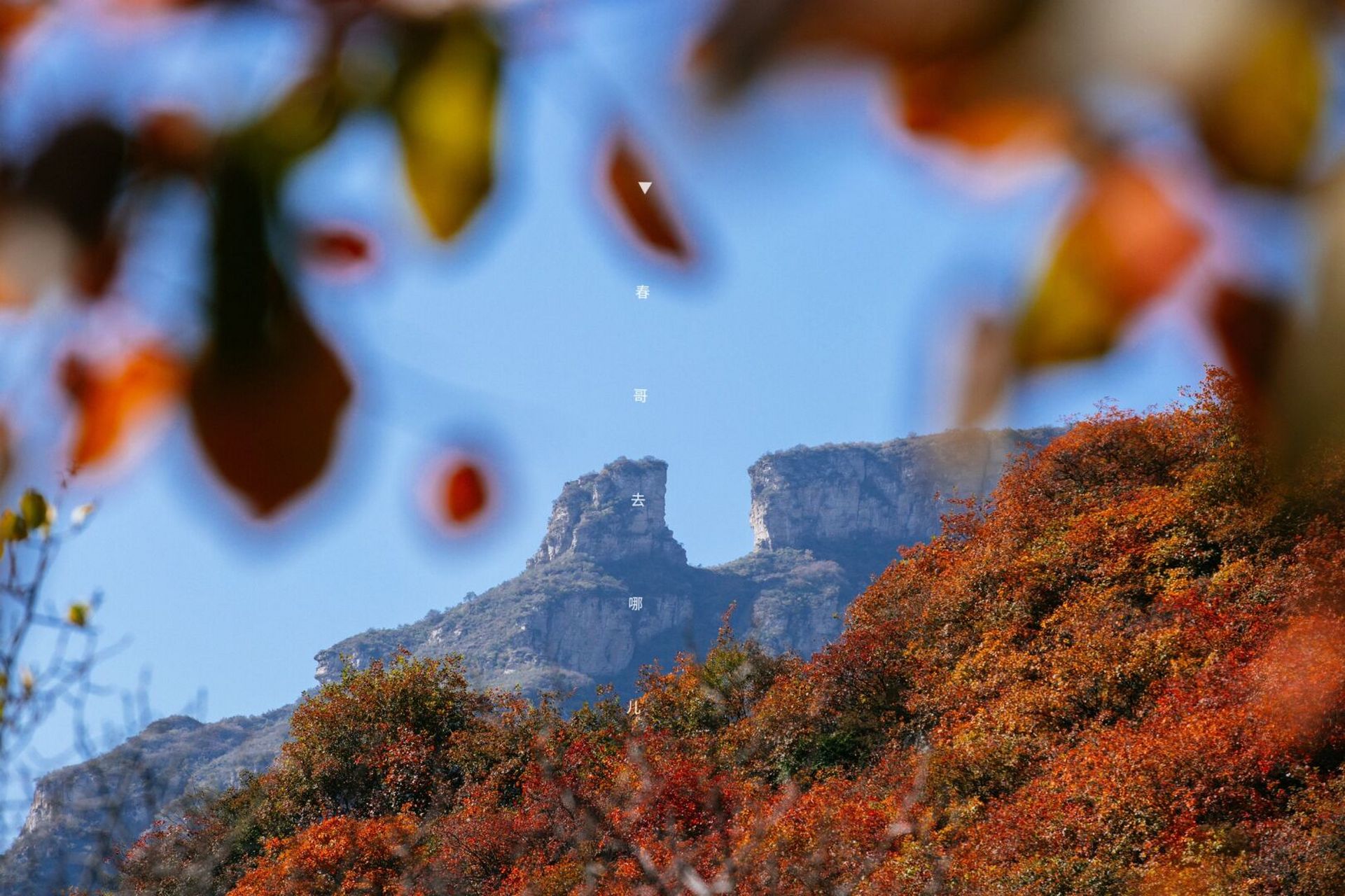 据说刷到这座山的,定会升官发财 红红火火97 这是你一生行善积德勤