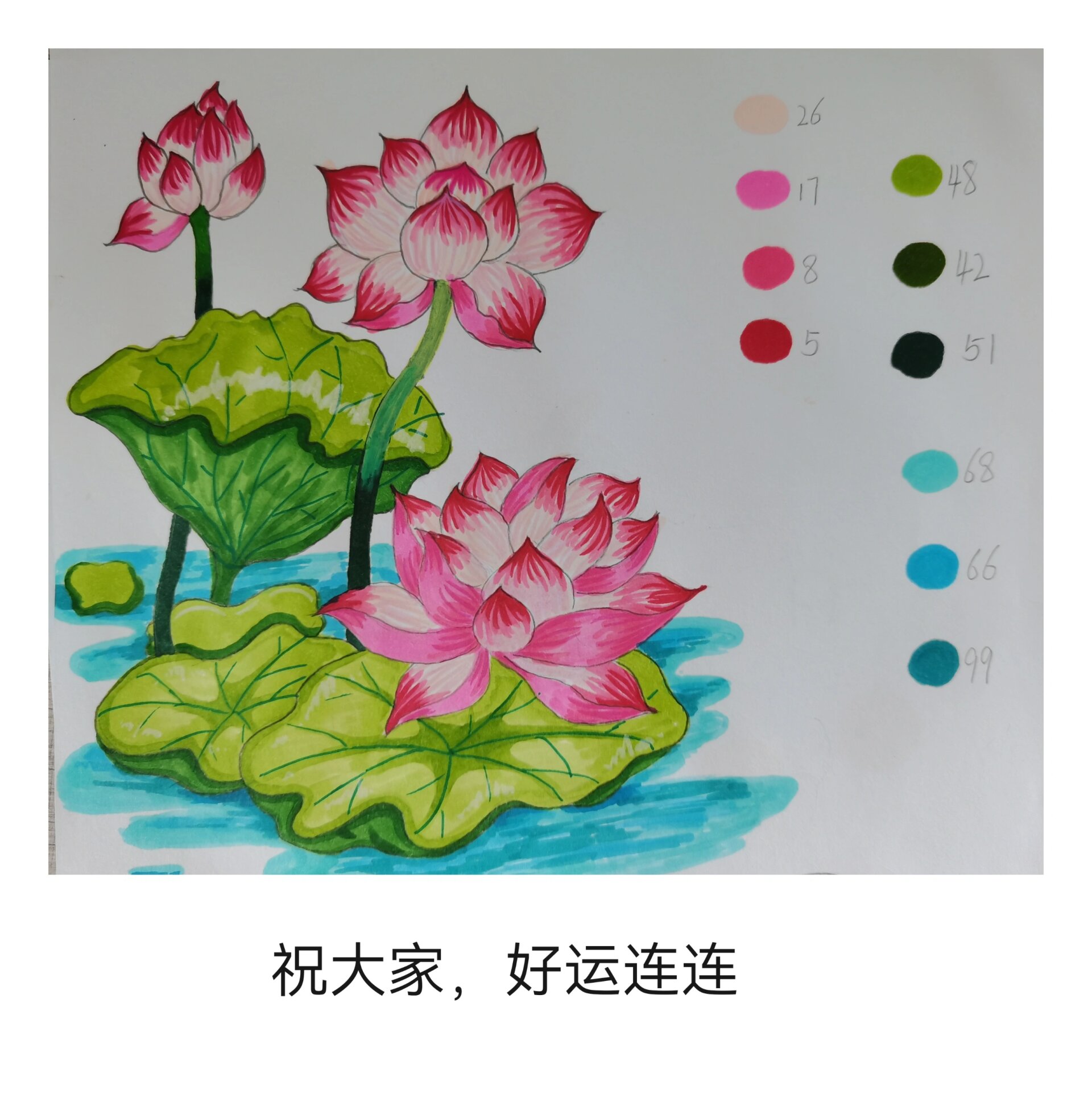 荷花绘画/马克笔/简笔画 看到的都会有好运