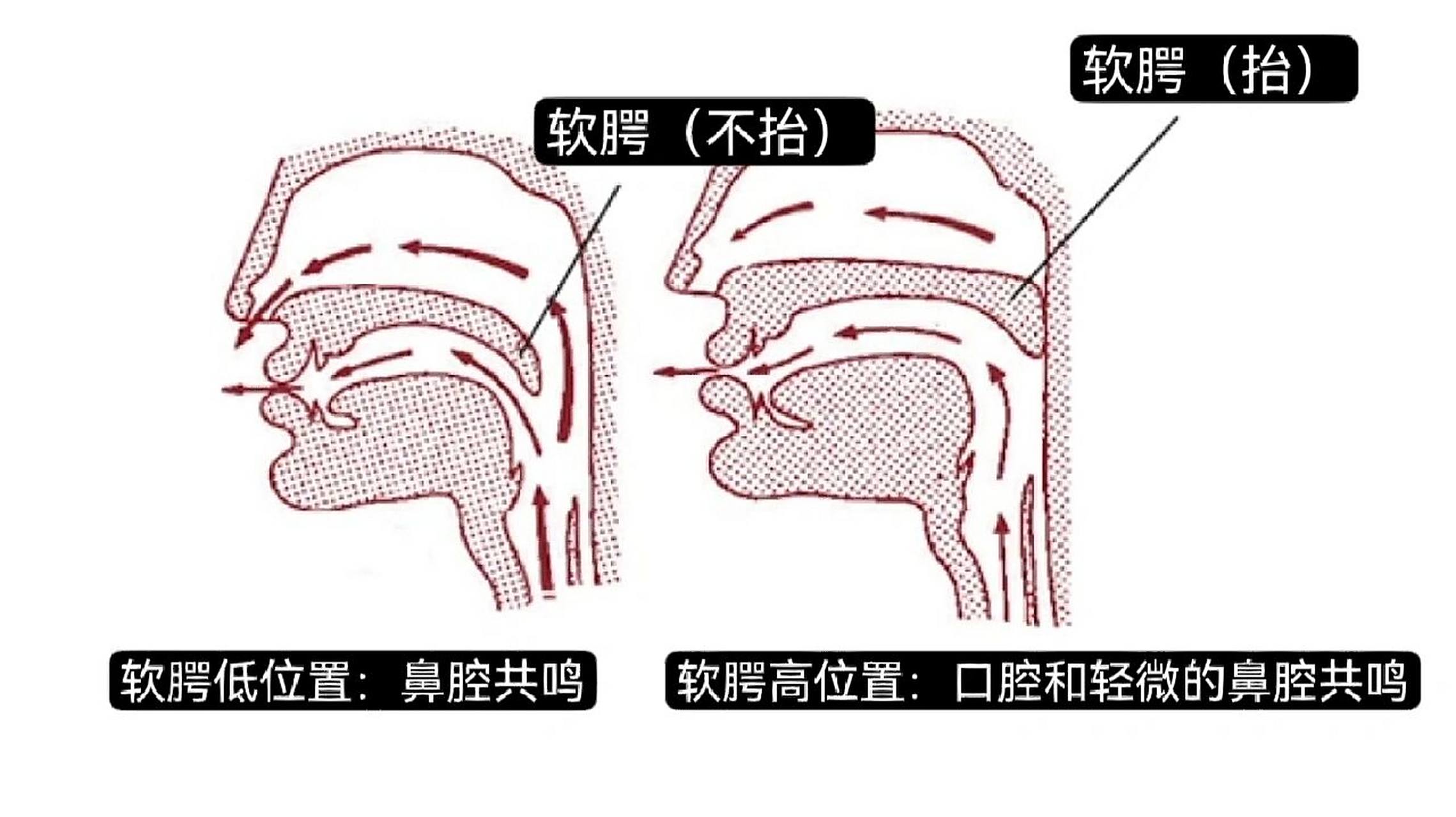 抬软腭有什么用?